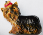 Preview: Porzellanfigur Hund Yorkshire Terrier Goebel Nr. 30 035 15 15cm #b (N)