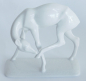 Preview: Porzellanfigur Reh Rosenthal L. Otto 311 weiß 13,5x5,7 H12,5cm