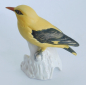 Preview: Porzellanfigur Pirol 1990 Goebel Vogel Bisquit matt 7,5cm