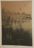 Serigraphie Ospreys Fischadler M. Wood 68x53cm -KEIN VERSAND- (N)